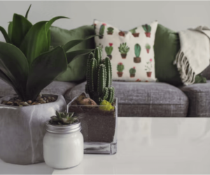 Top 7 Ways To Tastefully Add Some Greenery To Your Living Room