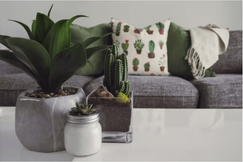 plants-living-room
