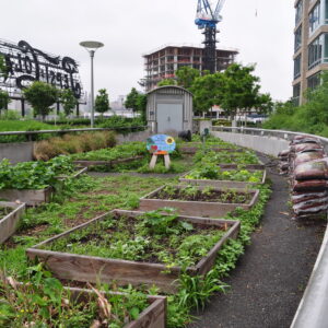 urban-farming-300x300 urban-farming-300x300