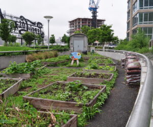 Top Benefits of Urban Farming