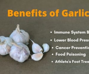 The Benefits of Garlic to Your Body and Immune System