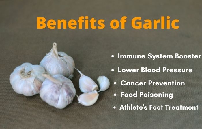 Garlic benefits