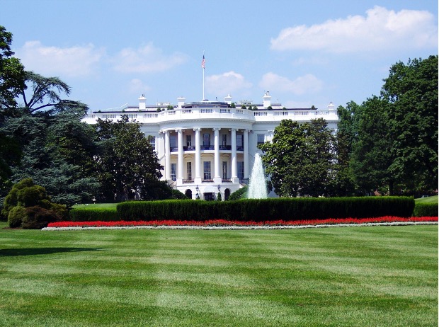 A beautiful place surrounded by lush green grass.