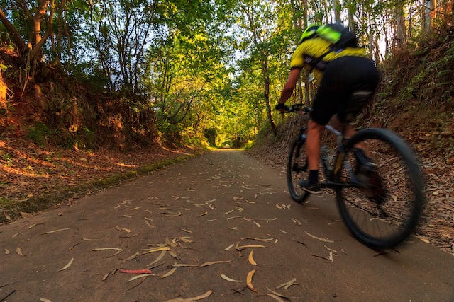 A boy cycling on the roads surrounded by trees.