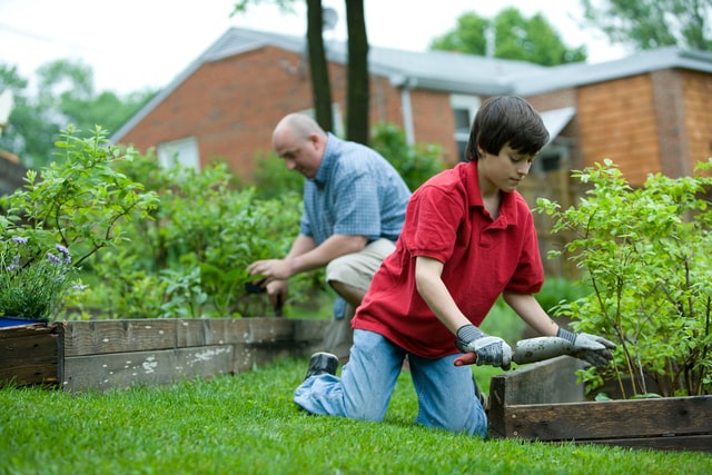 A man and a boy maintaining their lawn.