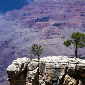 pexels-photo-257352-300x300