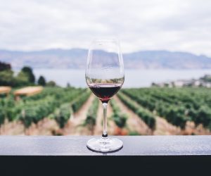How to Start a Winery: 5 Tips for Success