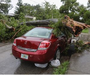 <strong>What Are the Most Common Home Insurance Claims in Ontario?</strong>