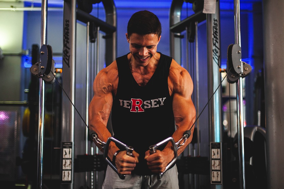 body-building-5711492_960_720 body-building-5711492_960_720