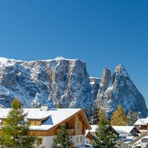 pexels-lars-bottcher-5710000-300x300 pexels-lars-bottcher-5710000-300x300