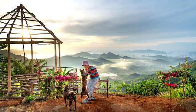 pexels-quang-nguyen-vinh-14025555