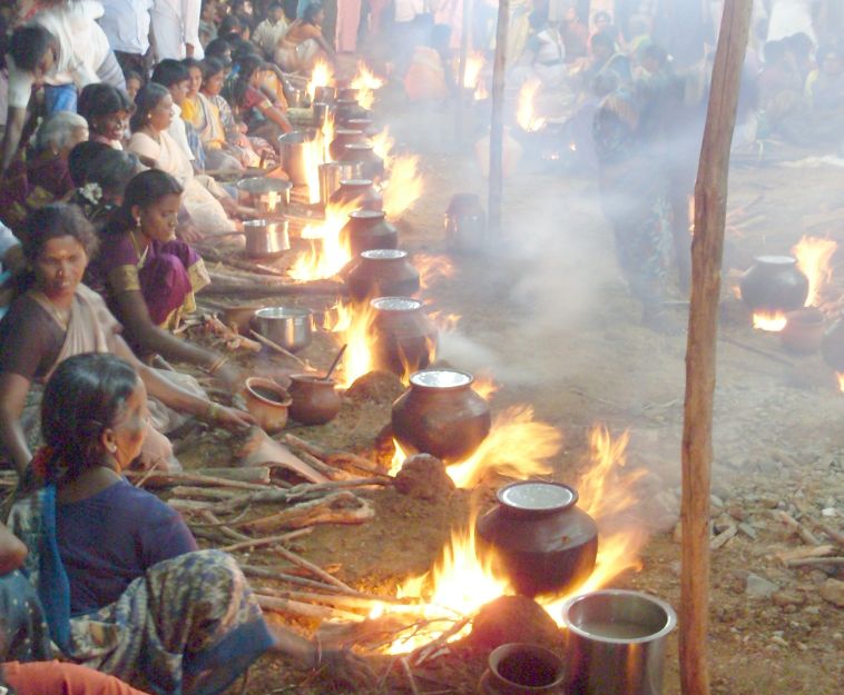 pongal