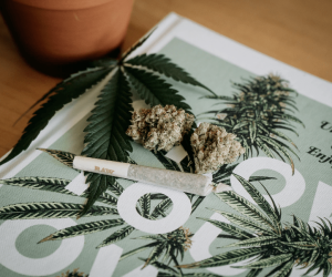 ​Becoming the Master of Cannabis: A Full How-to Guide