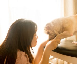 Top Tips For Taking Care Of Your Pet