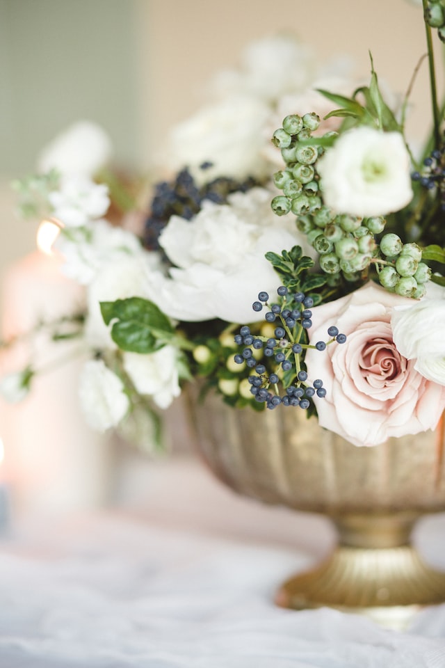 tiffany-rebecca-7Neopn2ZIuo-unsplash tiffany-rebecca-7Neopn2ZIuo-unsplash