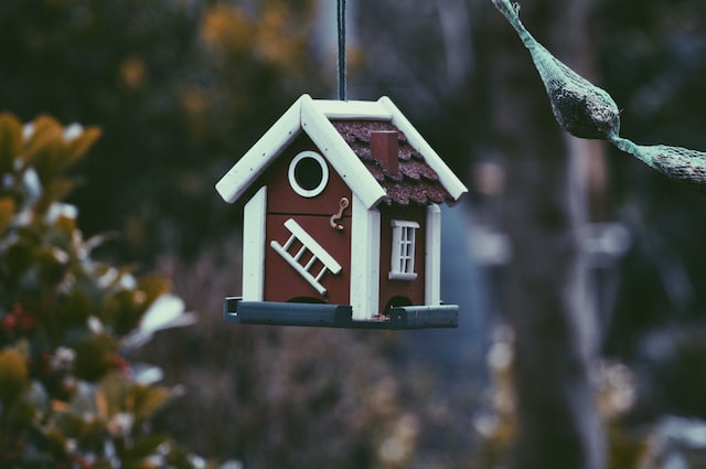 harmen-jelle-van-mourik-0yfWDwHOB0g-unsplash harmen-jelle-van-mourik-0yfWDwHOB0g-unsplash