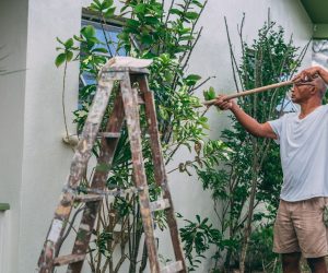 Transform Your Home in Style: A Guide to Face Lifting Your House