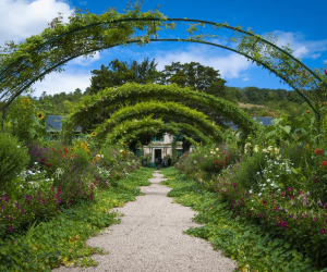 How To Keep Your Garden Clean And Tidy?