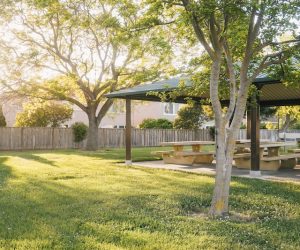 Effective Ways To Improve Your Lawn