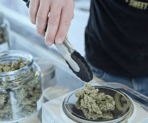 7 Steps To Safely Get Approved For Medical Marijuana Treatment Programme