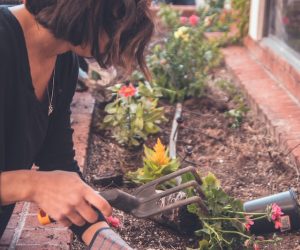 10 Tips To Make Your Backyard Garden More Energy Efficient