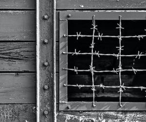 Top Tips For Choosing The Best Defense Against Deportation