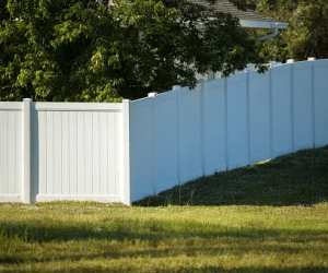 Stunning Ideas for Fencing Your Backyard