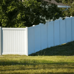 image-5-300x300 image-5-300x300