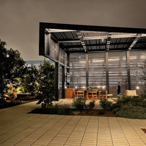 pasted-image-0-1-300x300