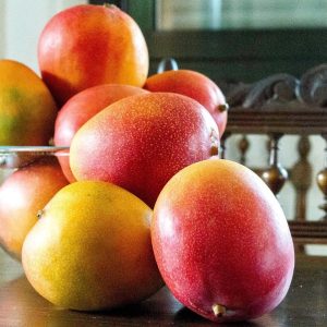 Picture-1-300x300 Picture-1-300x300