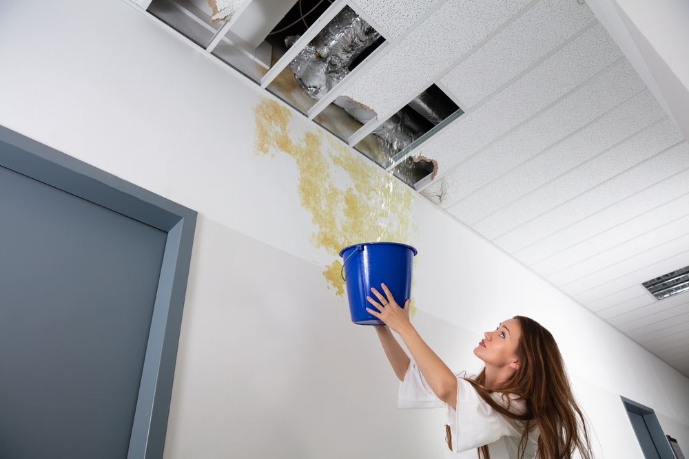 Safeguarding Your Property from Costly Water Damage