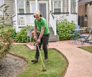 The Hidden Struggles of Lawn Care: Common Problems and How to Tackle Them