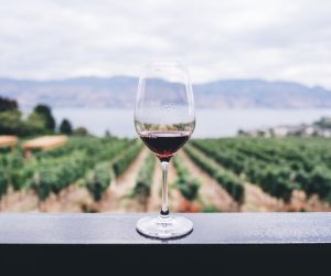 Top 6 Unconventional Wines to Expand Your Palate