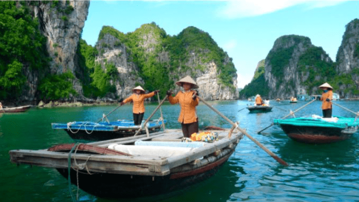 Halong Bay A Natural Wonderland