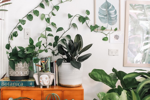 prudence-earl-NwBx723XaHw-unsplash prudence-earl-NwBx723XaHw-unsplash
