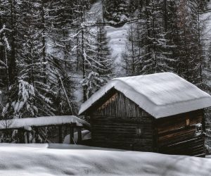 Seasonal Shed Buying: Getting Ready for Winter