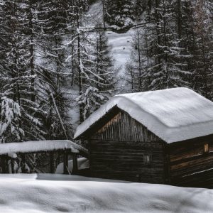 winter-Seasonal-Shed-300x300
