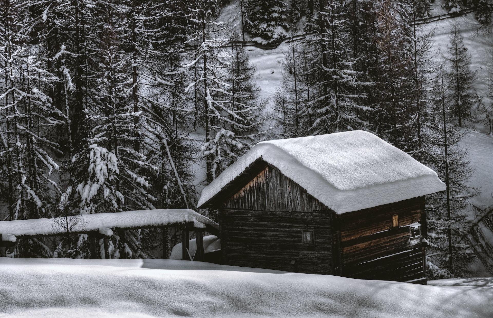winter-Seasonal-Shed