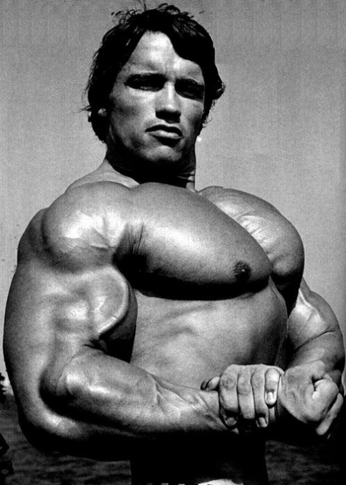 Arnold-Schwarzenegger