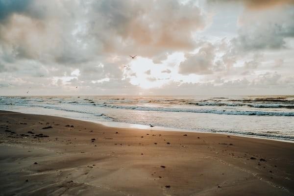 Discover the Unspoiled Beauty of Texas Gulf Coast Beaches