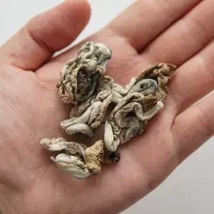 istockphoto-1224716340-170667a-300x300 istockphoto-1224716340-170667a-300x300