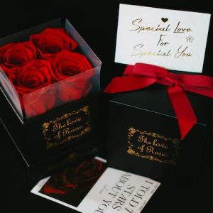 pexels-nika-benedictova-19376100-300x300 pexels-nika-benedictova-19376100-300x300