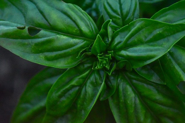 jason-mitrione-2-OHB0OYFko-unsplash jason-mitrione-2-OHB0OYFko-unsplash
