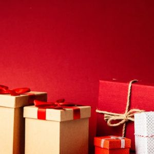 pexels-george-dolgikh-1666069-300x300