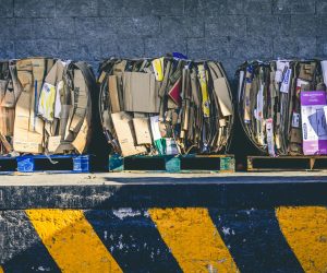 Easy Waste Management: Rent Your Cleanup Solution