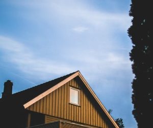 Shield Your Home: Essential Roof Maintenance Tips and Tricks