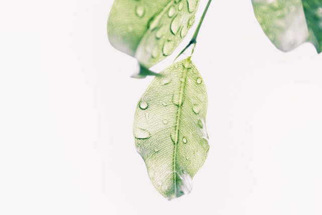 Eco-Friendly Tips You May Find Very Helpful