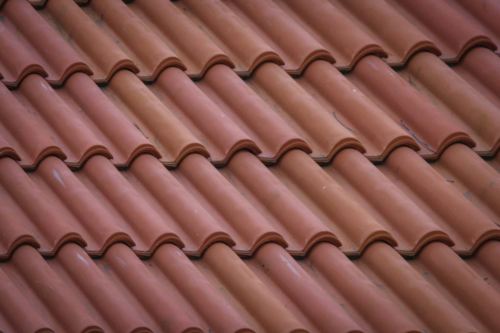 rocco-stoppoloni-oPPoyFHG11Q-unsplash-1024x683 rocco-stoppoloni-oPPoyFHG11Q-unsplash-1024x683