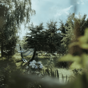 image-60-300x300 image-60-300x300