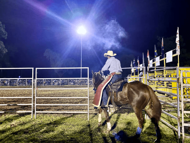Steel Riding Arenas: Combining Aesthetics with Functionality